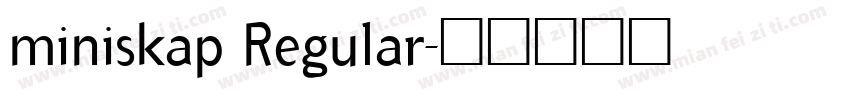 miniskap Regular字体转换